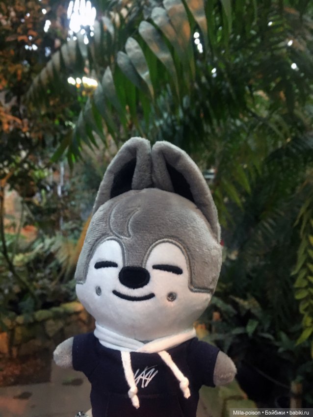 Wolf Chan — Интересные игрушки и фигурки (разное): редкие (фото 3)