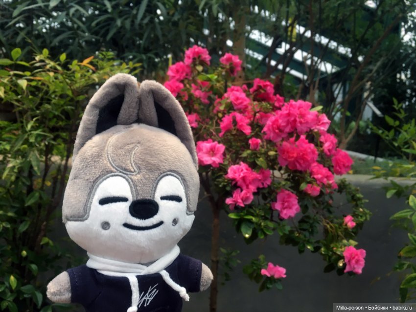 Wolf Chan — Интересные игрушки и фигурки (разное): редкие (фото 10)