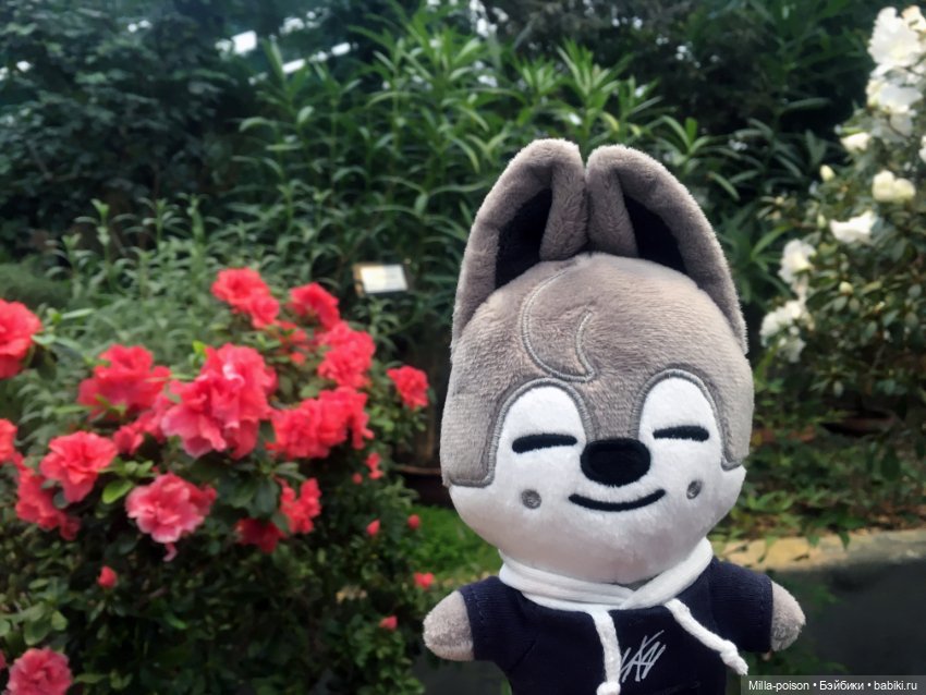 Wolf Chan — Интересные игрушки и фигурки (разное): редкие