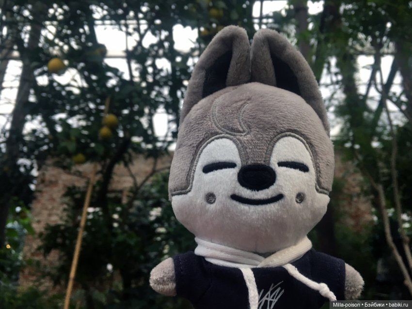 Wolf Chan — Интересные игрушки и фигурки (разное): редкие