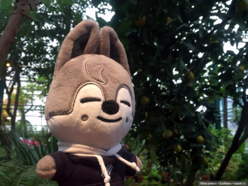 Wolf Chan — Интересные игрушки и фигурки (разное): редкие