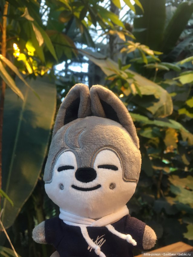 Wolf Chan — Интересные игрушки и фигурки (разное): редкие (фото 6)