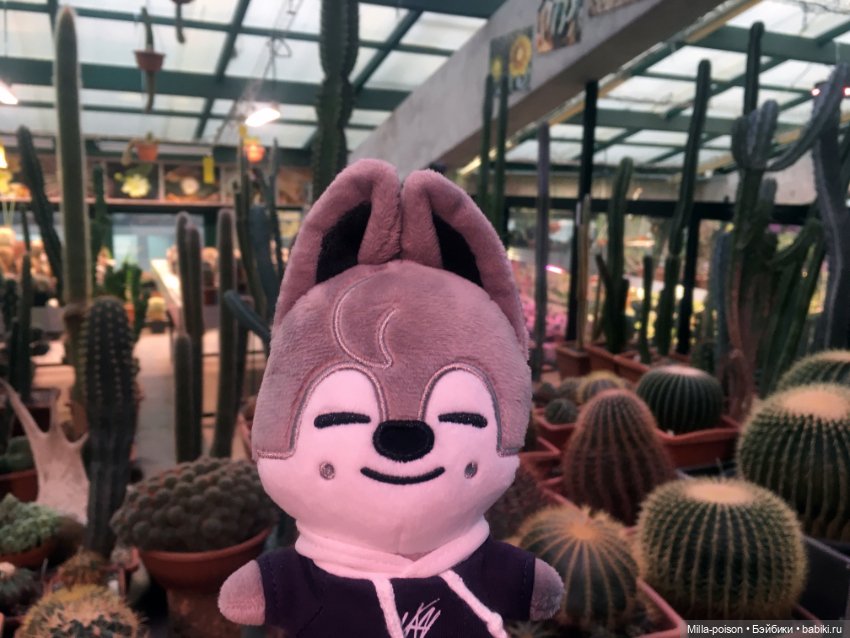 Wolf Chan — Интересные игрушки и фигурки (разное): редкие (фото 5)