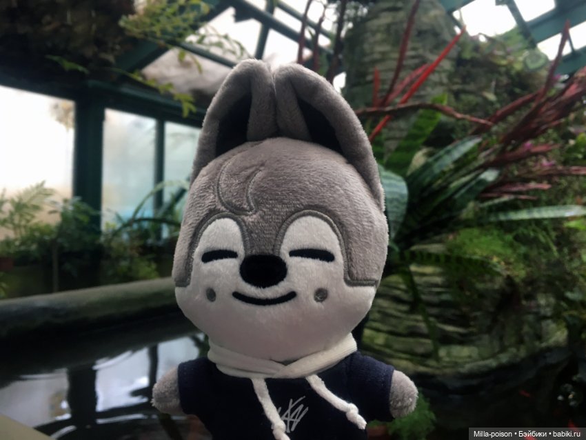 Wolf Chan — Интересные игрушки и фигурки (разное): редкие (фото 8)