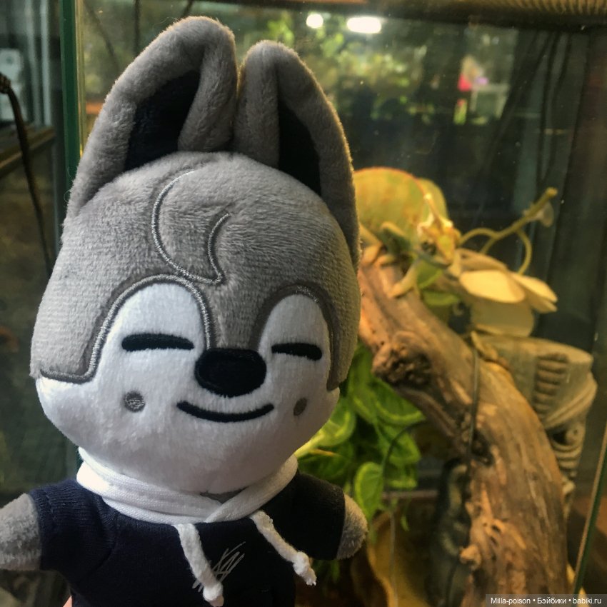 Wolf Chan — Интересные игрушки и фигурки (разное): редкие