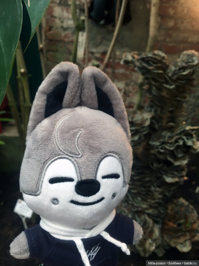 Wolf Chan — Интересные игрушки и фигурки (разное): редкие