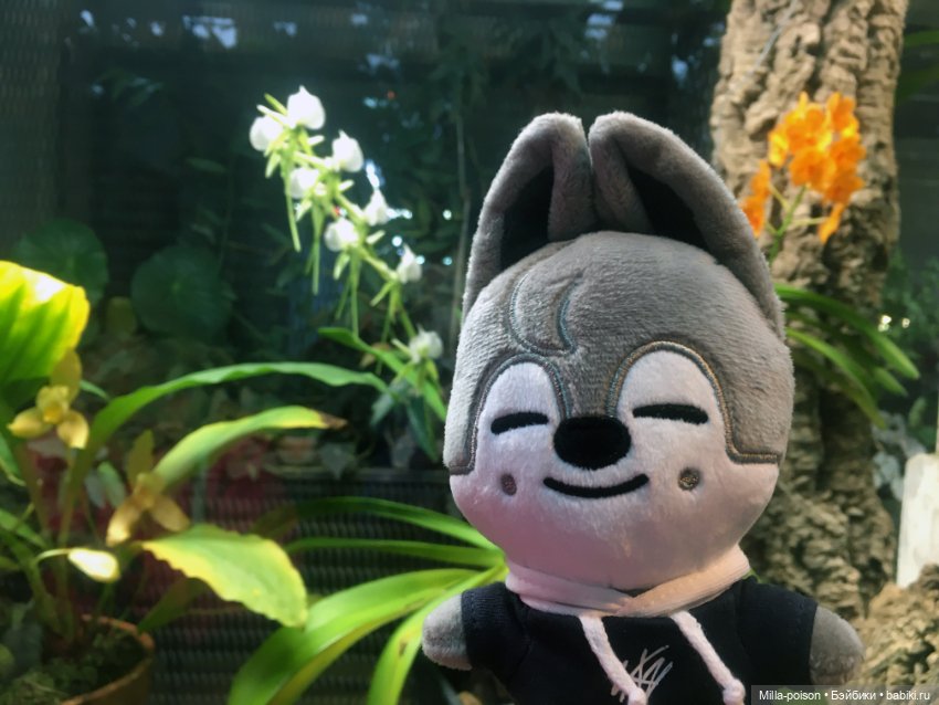 Wolf Chan — Интересные игрушки и фигурки (разное): редкие (фото 4)