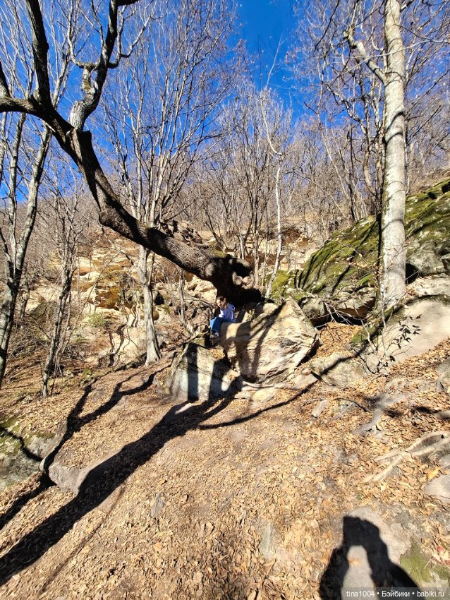 ИЗ ЖИЗНИ КУКОЛ осенние путешествия 1ч