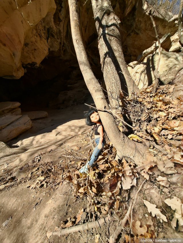 ИЗ ЖИЗНИ КУКОЛ осенние путешествия 1ч (фото 3)