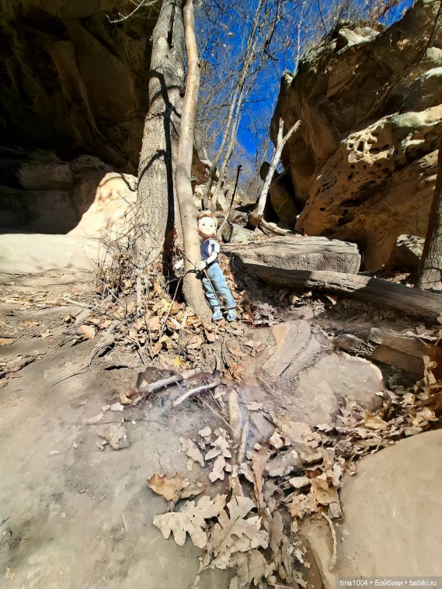 ИЗ ЖИЗНИ КУКОЛ осенние путешествия 1ч (фото 4)