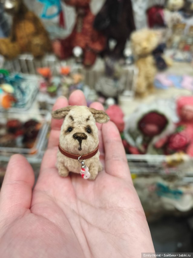 Hello Teddy 2025 (часть 1) (фото 2)