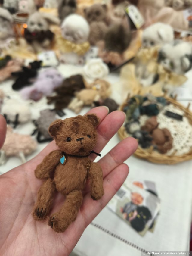 Hello Teddy 2025 (часть 1)