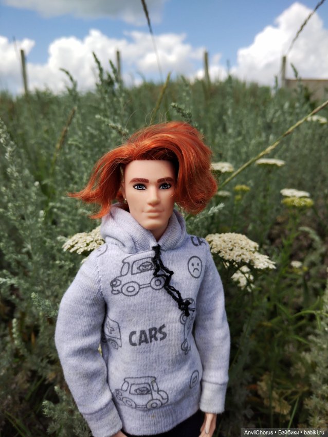 На прогулке. Кен БМР — Куклы Mattel (Маттел): Barbie