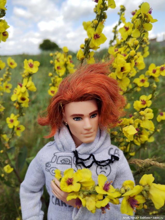 На прогулке. Кен БМР — Куклы Mattel (Маттел): Barbie