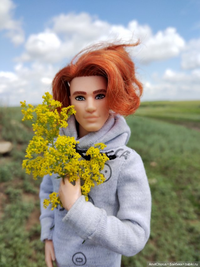 На прогулке. Кен БМР — Куклы Mattel (Маттел): Barbie