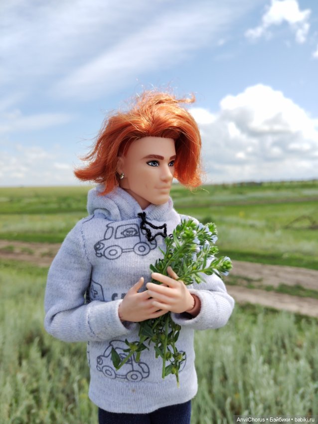 На прогулке. Кен БМР — Куклы Mattel (Маттел): Barbie