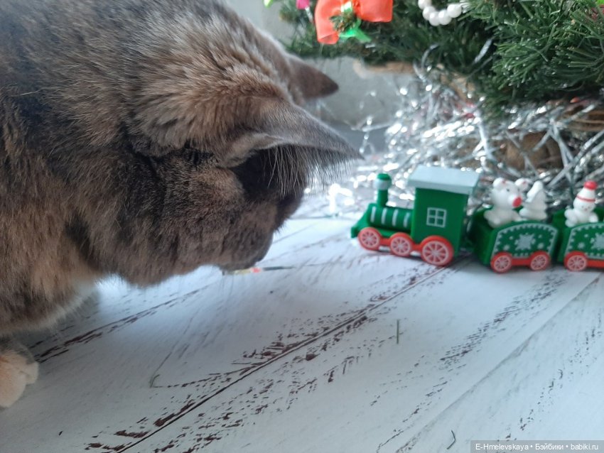 Мои куклы: Элара и Тариэль