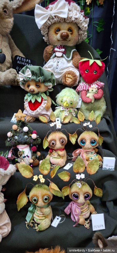 Hello Teddy 2025. Часть 1