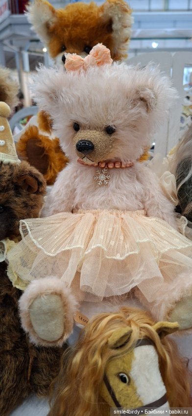 Hello Teddy 2025. Часть 1