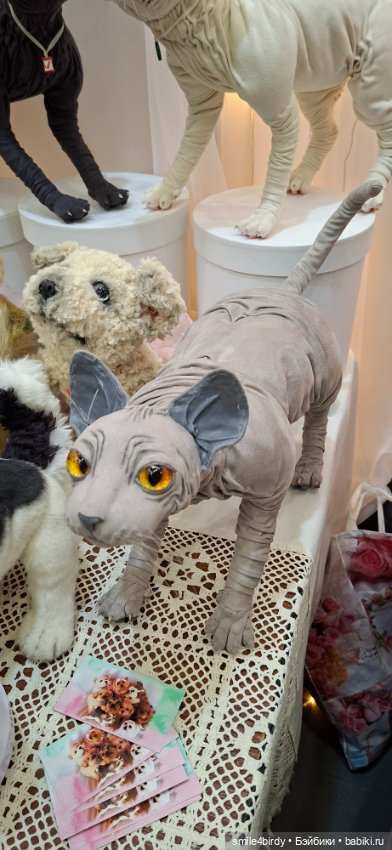 Hello Teddy 2025. Часть 3