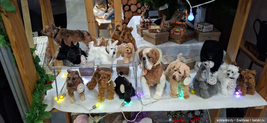 Hello Teddy 2025. Часть 2