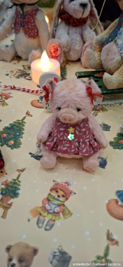 Hello Teddy 2025. Часть 1