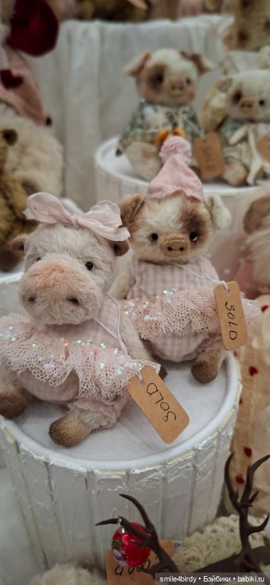 Hello Teddy 2025. Часть 1