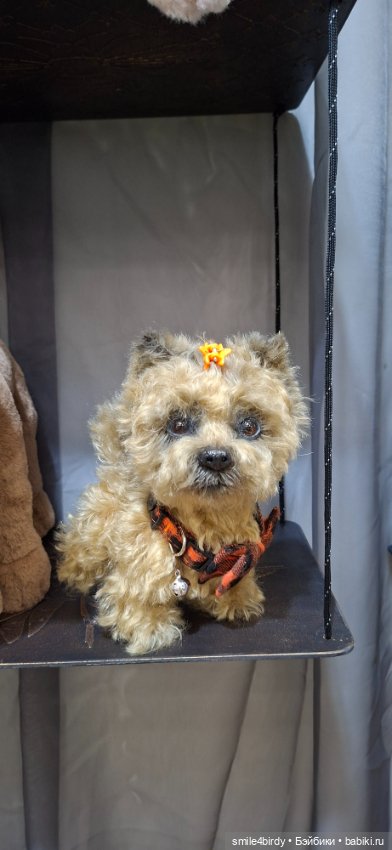 Hello Teddy 2025. Часть 1