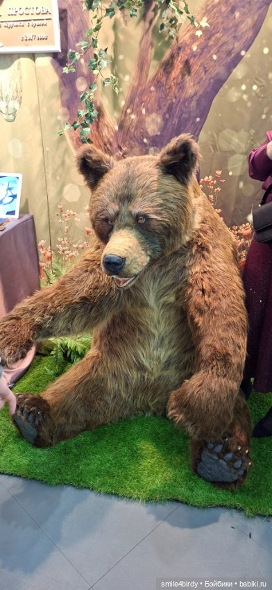 Hello Teddy 2025. Часть 1 (фото 2)