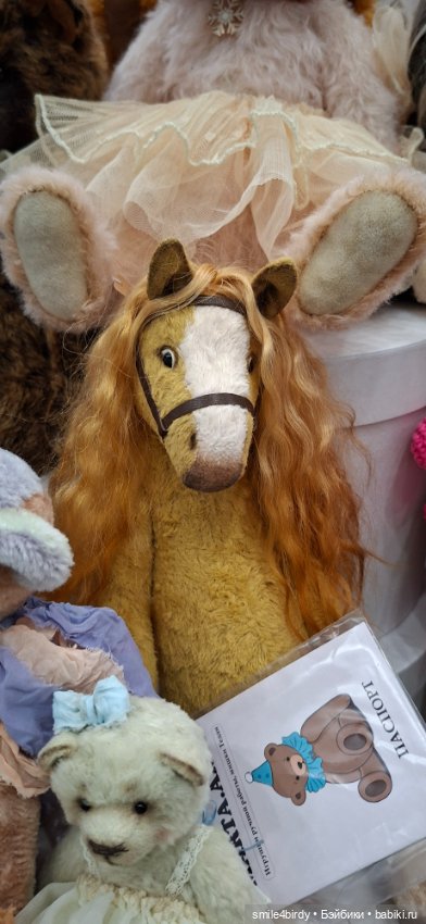 Hello Teddy 2025. Часть 1