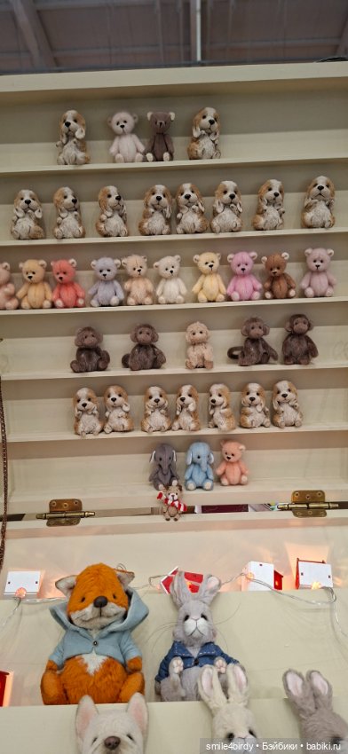 Hello Teddy 2025. Часть 2