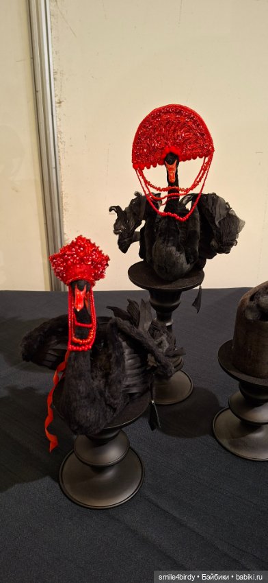 Hello Teddy 2025. Часть 3