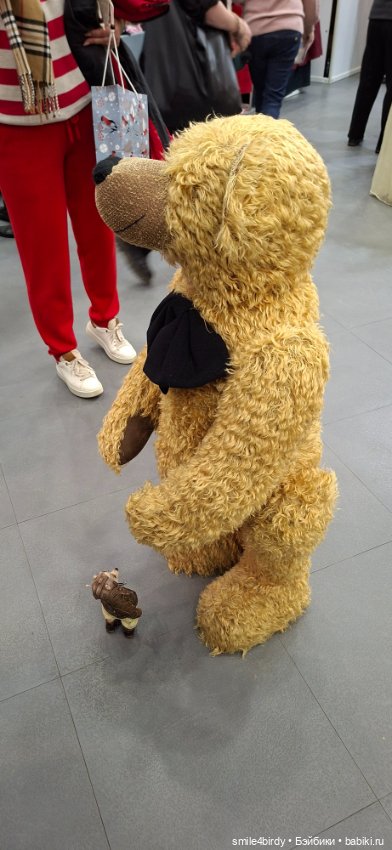 Hello Teddy 2025. Часть 4