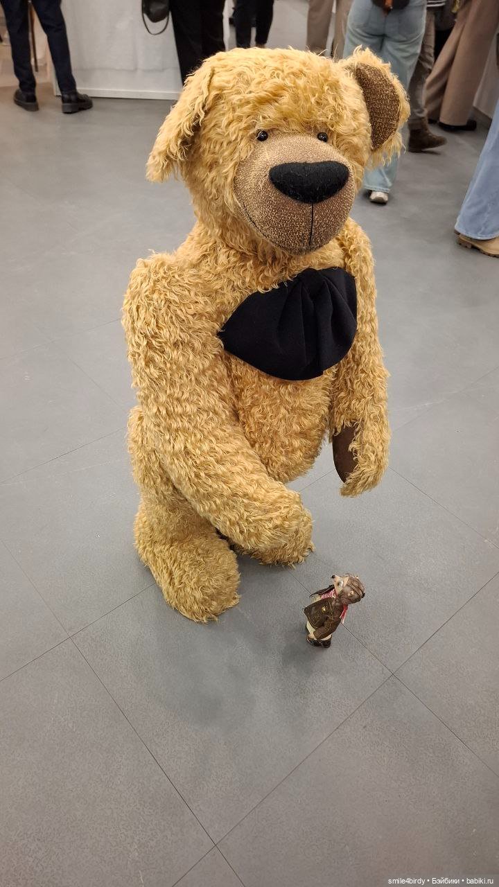 Hello Teddy 2025. Часть 4