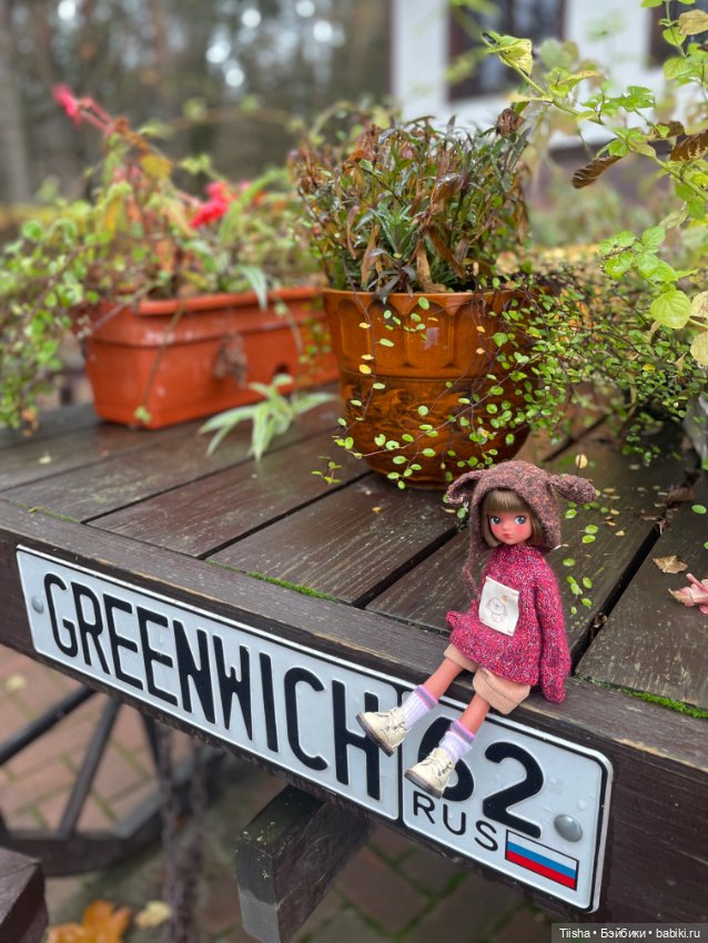 Корейская Babyringo Bonnie (фото 3)