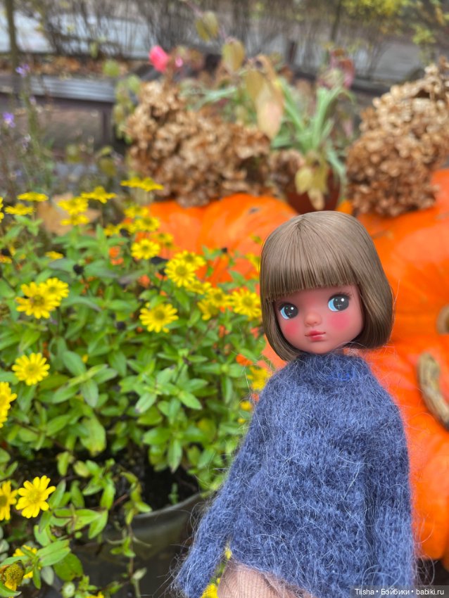 Корейская Babyringo Bonnie