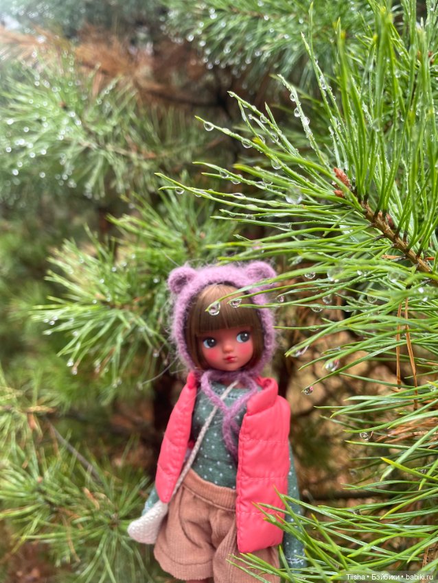 Корейская Babyringo Bonnie