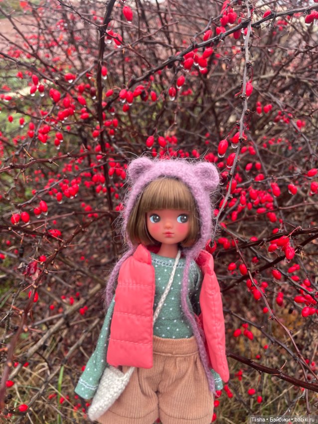 Корейская Babyringo Bonnie