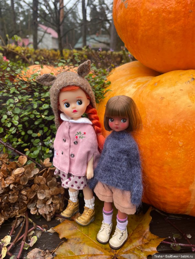 Корейская Babyringo Bonnie