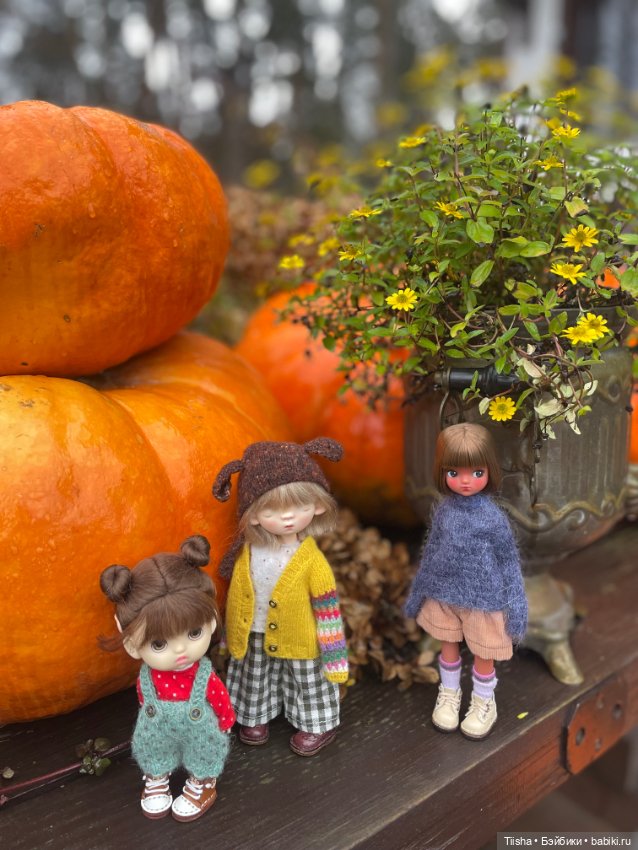 Корейская Babyringo Bonnie