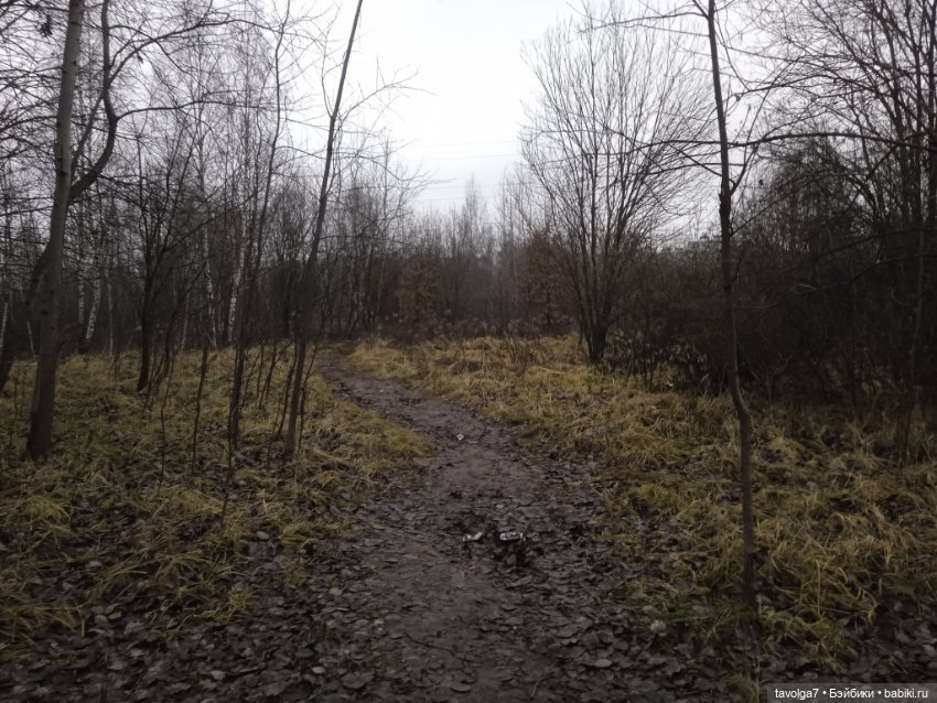 Вероника Кругозор и бесснежный декабрь 2025