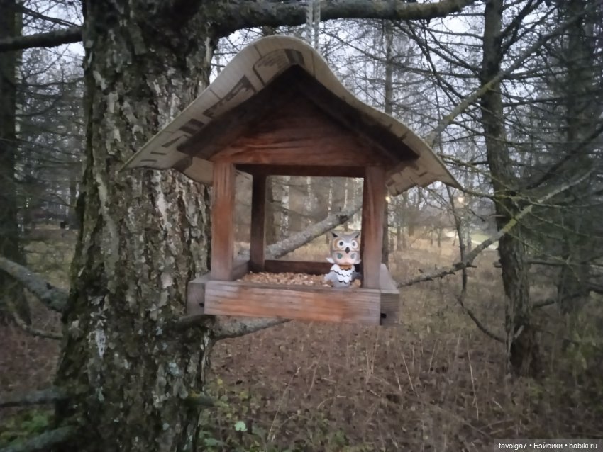 Вероника Кругозор и бесснежный декабрь 2025