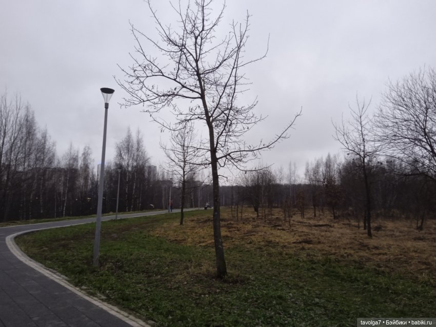 Вероника Кругозор и бесснежный декабрь 2025