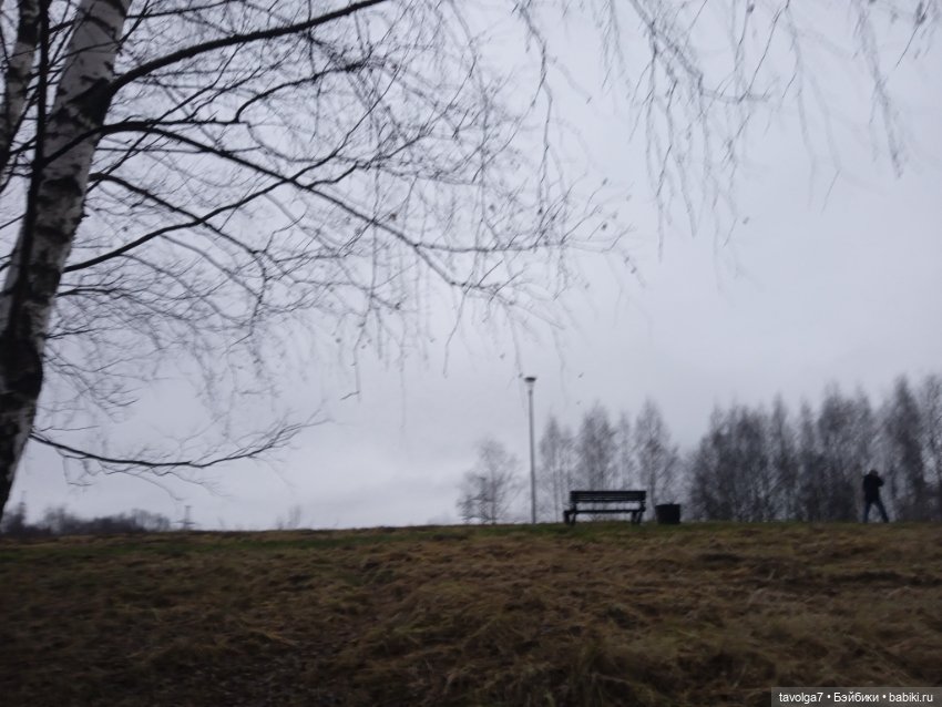 Вероника Кругозор и бесснежный декабрь 2025 (фото 4)