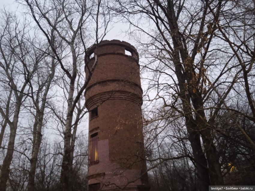 Вероника Кругозор и бесснежный декабрь 2025