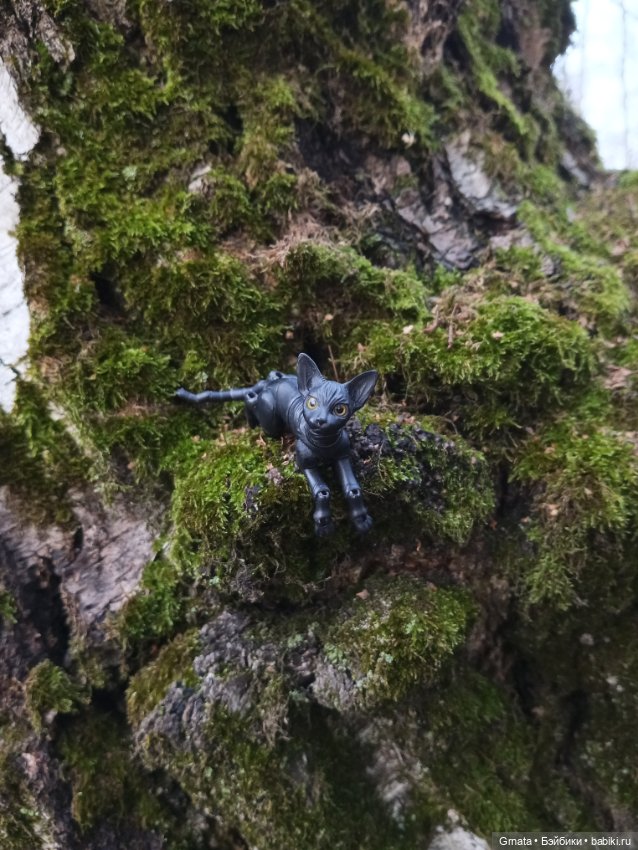 А я к вам с Пикси) — Домашние фото авторских кукол: личные коллекции (фото 5)