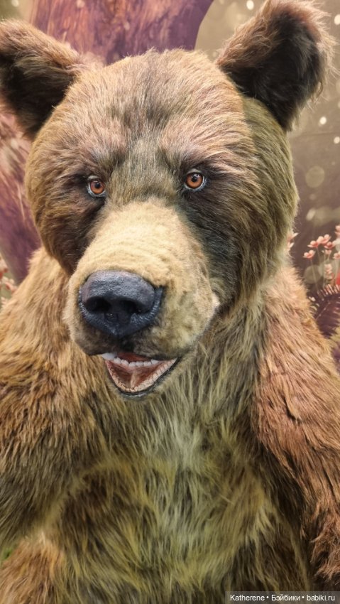 Выставка мишек на Тишинке декабрь 2025 (фото 2)