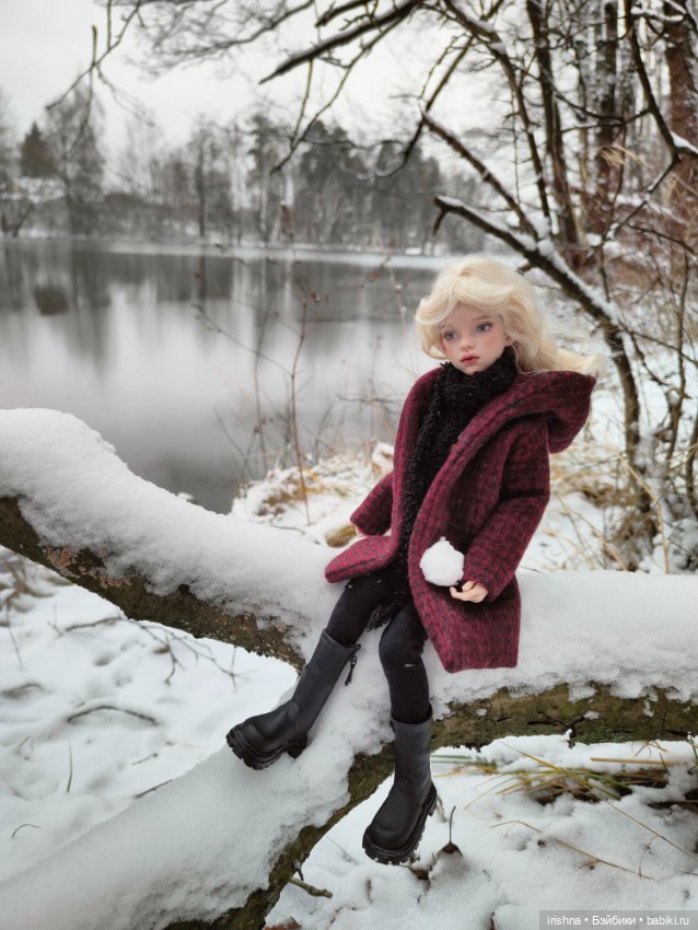 Первый снег для Иден — Разные куклы BJD (БЖД): редкие бренды (фото 8)
