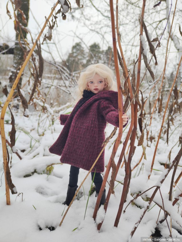 Первый снег для Иден — Разные куклы BJD (БЖД): редкие бренды (фото 2)