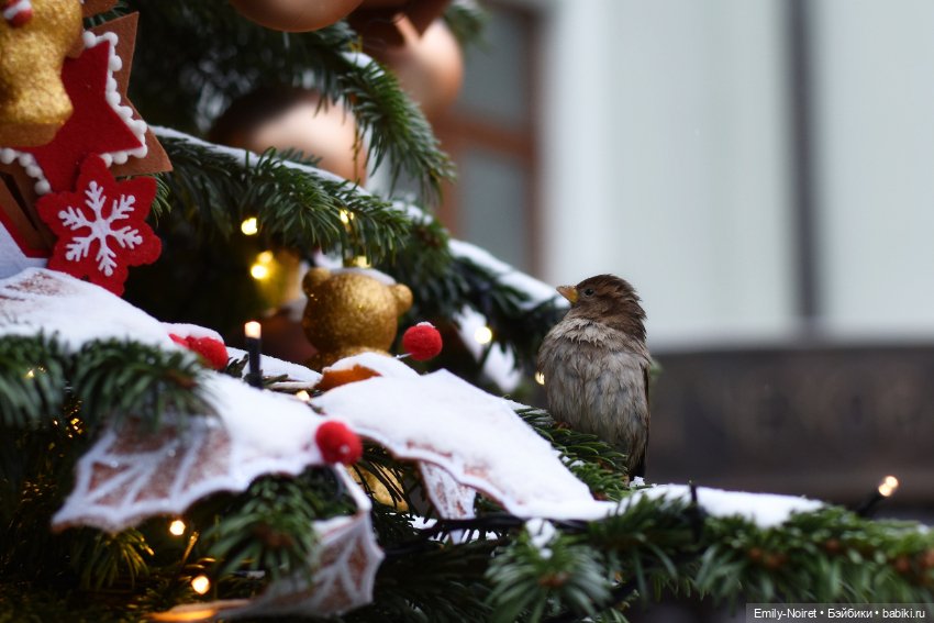 Новогодний центр Москвы — Туризм и путешествия: фотоотчеты из поездок (фото 8)